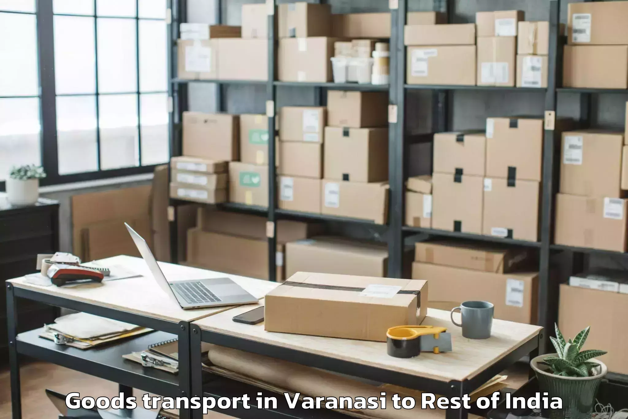 Quality Varanasi to Cluster University Of Jammu Ja Goods Transport